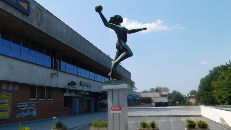 Házenkářka